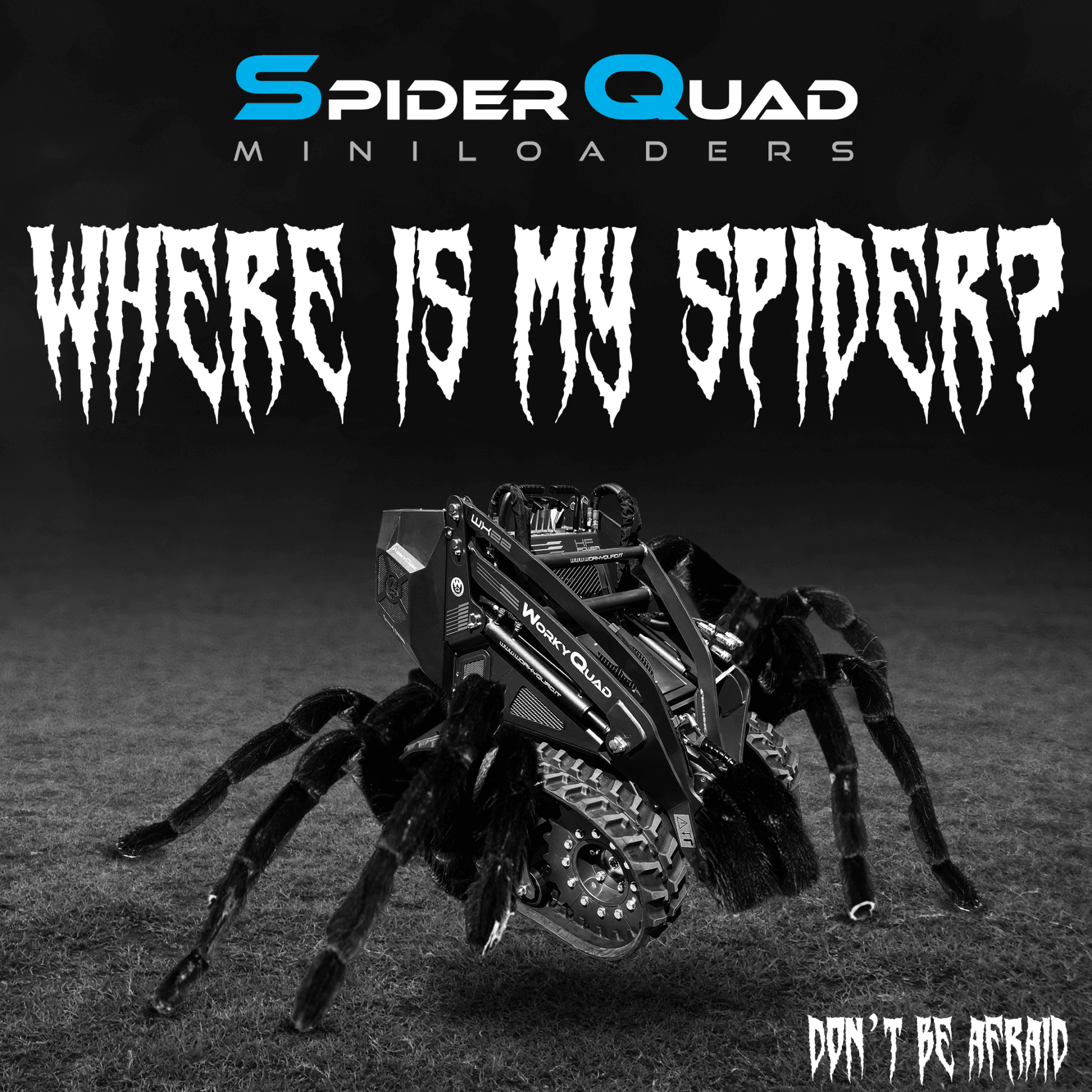 SpiderQuad1